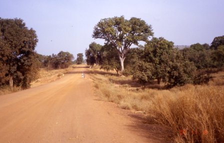 paysage Malien
