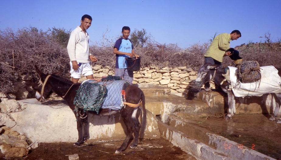Mardi 1 octobre - Essaouira → Tamri (105 km) — photographie 2