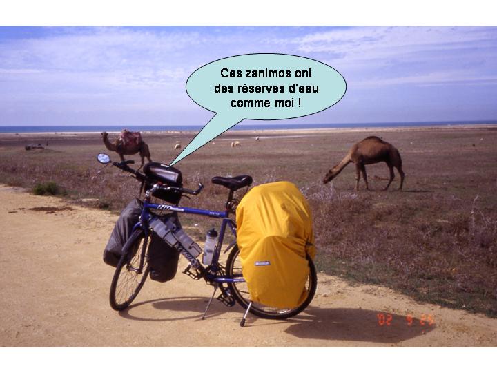 Planche 12 de la bande dessinée Voyage VTT