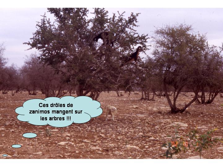 Planche 14 de la bande dessinée Voyage VTT